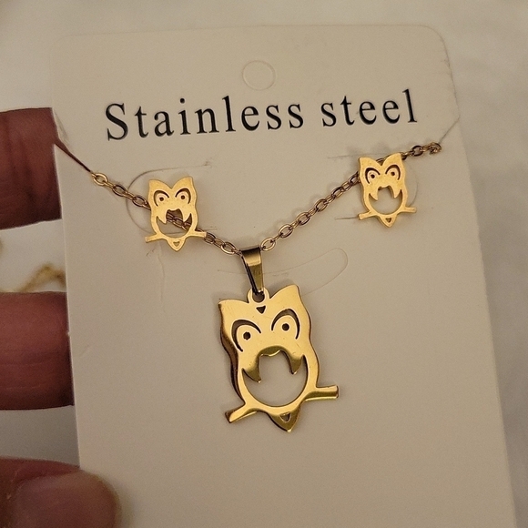 Jewelry - Owl Stainless Steel Jewelry Set NWT